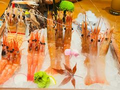-月龍吟(朝龙汇店)