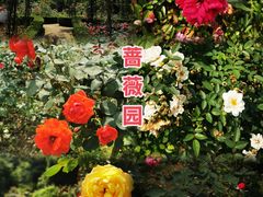 -南山植物园