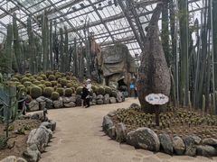 -南山植物园