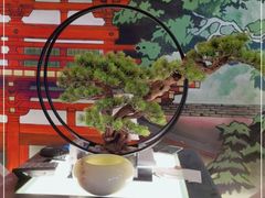 -蓝鲸湾汤泉(包河店)