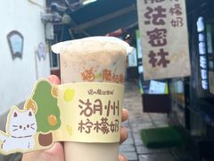 -猫的魔法密林(衣裳街店)