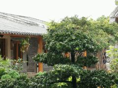 -顺德了能馆(虎门店)