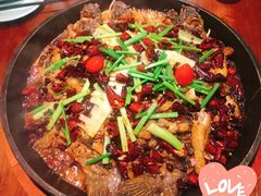 -老板恋上鱼(振华商厦店)