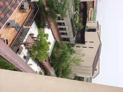 金茂凯悦酒店-上海崇明金茂凯悦酒店