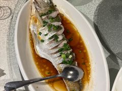 -金美华轩(东方路齐鲁店)