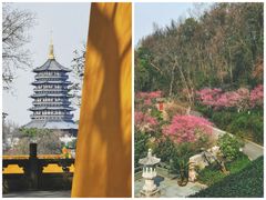 -杭州植物园