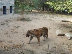 -北京野生动物园