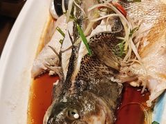-味窑大寨百姓酒楼(晋祥办公大楼店)