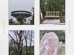 -神光山国家森林公园