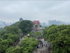 -黄鹤楼公园(黄鹤楼)