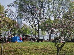 -高子水居