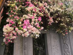 -深圳国际园林花卉博览园