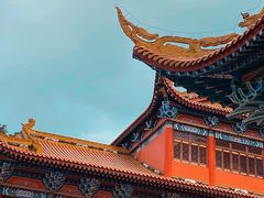 -东莞市大岭山森林公园