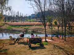 -两河城市森林公园