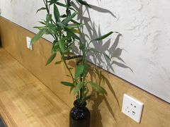 -拌面小当家