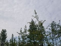 -府河摄影公园