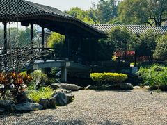 -顺峰山公园