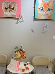 -洗脸猫·洗脸吧