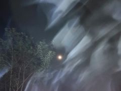 -火炉山森林公园