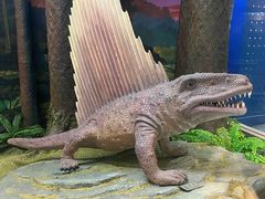 -国家自然博物馆