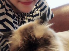 -喵园·猫主题咖啡厅·撸猫·猫咖(国贸店)