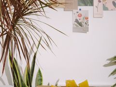 -隹木咖啡馆(宝龙广场店)