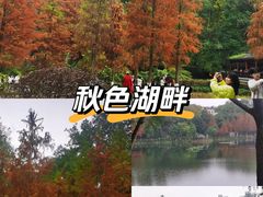 -重庆彩云湖湿地公园