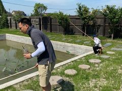 -南汇新场正宗水蜜桃采摘