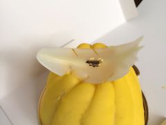 -莫奈花园法式蛋糕
