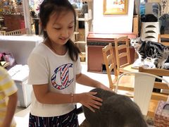 -小时光咖啡馆(开森度假森林店)