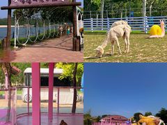 -渔岛海洋度假区