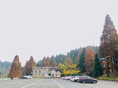 -武陵山森林公园
