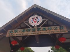 -上海海湾国家森林公园