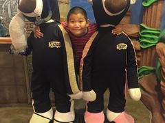 -济州岛泰迪熊博物馆