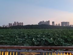 -月湖风景区