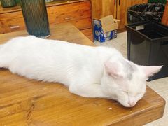 -森野花艺培训·企业团建活动沙龙