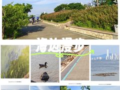 -深圳湾公园(南山区)