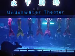 -泉城欧乐堡海洋极地世界
