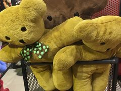 -济州岛泰迪熊博物馆