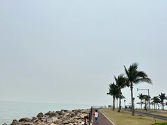 -野狸岛