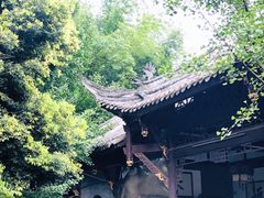 -生宇山珍野生菌汤锅•始于1999(双流古塔店)