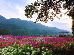 -广州市石门国家森林公园