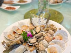 -洪湖家庭农场·团建·露营·会议