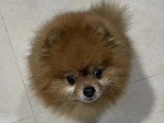 -中粮·祥云小镇