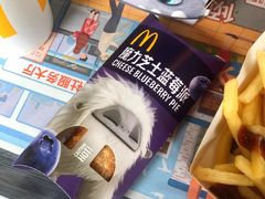 -麦当劳(南京路2店)