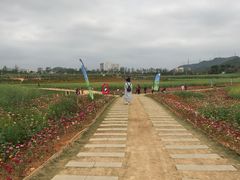 -光明小镇欢乐田园