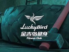 -金吉鸟健身游泳