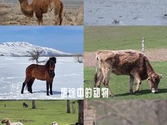 -赛里木湖风景名胜区