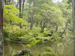 -西芳寺(苔寺)