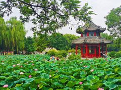 -莲池书院博物馆